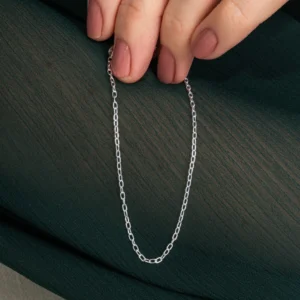 Pulseira Elos Cadeado Delicados